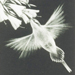 Shigeki Kuroda Gallery